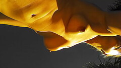 Missy Jubilee XXX PUSSIFICATION Thumb