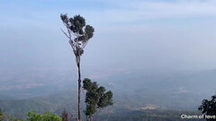 Let'_s go have sex on the mountain. ไปมีเซ็กส์บนภูเขากันเถอะ Thumb