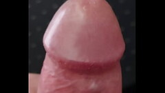 Walenie konia Thumb