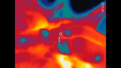 paja t&eacute_rmica Thumb