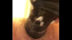 Sex4funsteve Thumb