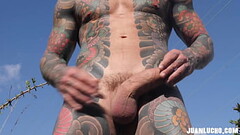 Forest Cum Thumb