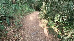 Horny teen sucks cock in the nature Thumb
