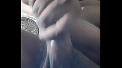 Indian cock Thumb