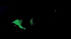 Dayanara Black Light Sex POV 2 Thumb