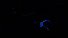 Scarlett Johnson Blacklight Sex MAIN 4 Thumb