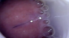 Fucking and Cuming in my new Stoya Fleshlight Thumb