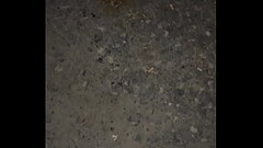 Outdoor jerk Thumb