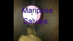 HOLA MIS AMORES Thumb