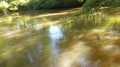 Urinals In America: Oconee River Thumb