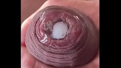Compilation of Uncut Dick Thumb