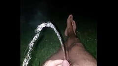 Park Piss Public Thumb