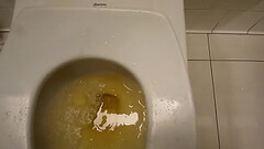 Peeing in a public toilet stall Thumb