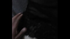 D&aacute_ndole de perrito Thumb