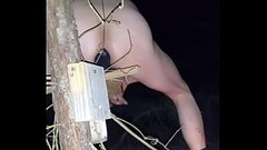 Me fucking my ass dildo 2 Thumb