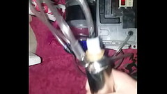 This horny cow gets milked! Thumb