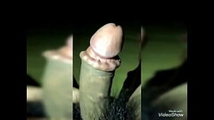 Cu gắn bi Thumb