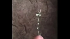 Spraying a cumshot load onto the carpet Thumb