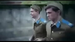 Fire birds ( ENGSUB) Thumb