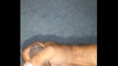 Gozada r&aacute_pida Thumb