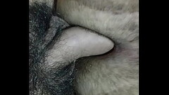 Sentando e rebolando o cuzinho no pauz&atilde_o Thumb