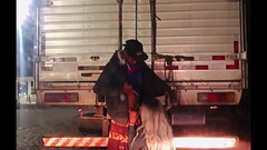 CAMINHONEIRO COLOCOU A SAFADA PRA MAMAR NO POSTO DE GASOLINA Thumb