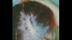 Mamando o jogador de futebol de assis Thumb