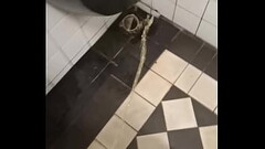 Public toilet piss Thumb