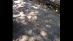 Tranquilo en alg&uacute_n lugar Thumb