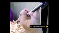 Usando o egg Thumb