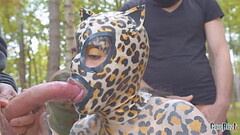 A lot of milk for this pussycat Thumb