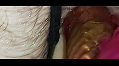 Iniciando una doble penetrada anal Thumb