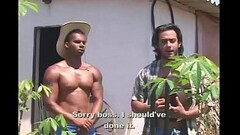 Jonny Montana, Igor &amp_ Felipe Vilhena - Fudendo o filho do patr&atilde_o (Como Homens de Verdade, Thumb