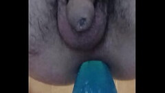 Plug anal Thumb