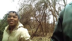 s. Cutie 2 - In the Morning Woods Thumb