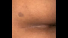 BBC breeds Chub Thumb