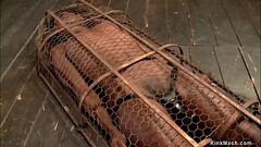 Ebony slave gets vibrated in cage Thumb