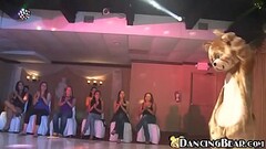 DANCING BEAR - Oh What Fun We Can Have With Thirty Girls And A Cup Thumb