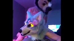 Fursuiter gets fucked in a room full of people Thumb