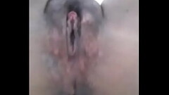 Rica concha abierta de ni&ntilde_a Thumb