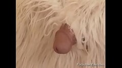 Horny Asian Teen Locked Up Inside Lets Her Imagination Run Wild Thumb