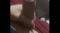 Paca con mucha leche calentita Thumb