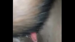 Sucking black pussy Thumb
