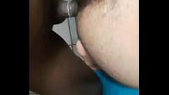 Peludo dando pro neg&atilde_o Thumb