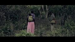 TWILIGHT SEX WITH TIGER Thumb