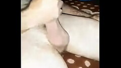 Big dick Thumb
