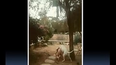 compilation sexy lol Thumb