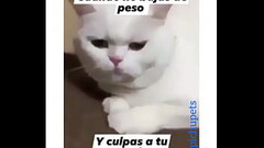 Me follo una venezolana culona rica Thumb
