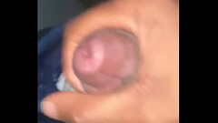 Bitopdaddy Thumb
