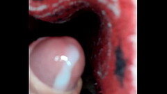 La fuente de leche Thumb
